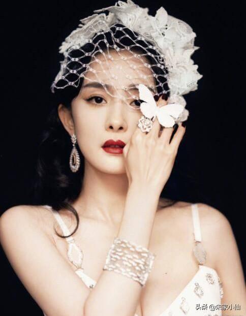 四字弟弟娱乐吃瓜君,揭秘娱乐圈幕后故事